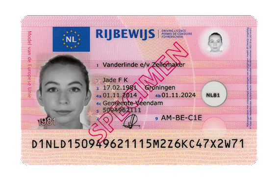 Buy Netherlands drivers license